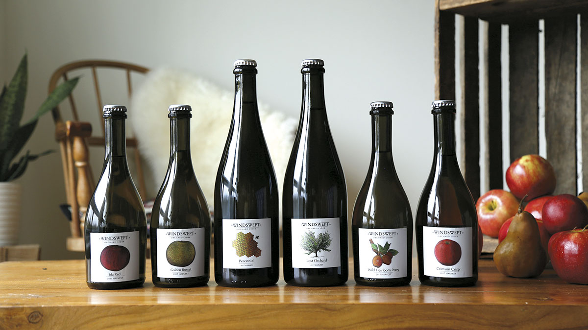 Windswept Orchard Cider is discovering the hidden gems of Grey County — heirloom apples from overgrown, hard-to-reach and forgotten orchards.