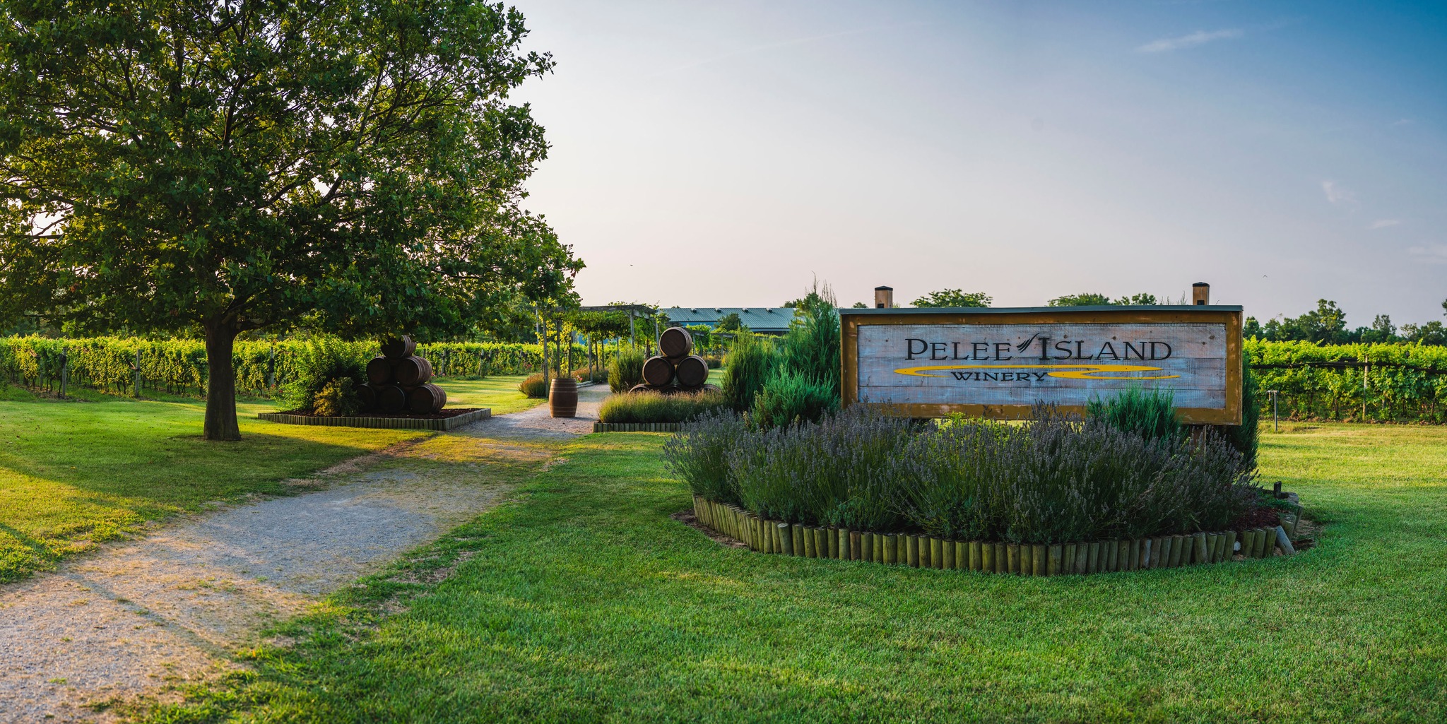 Pelee Island Winery