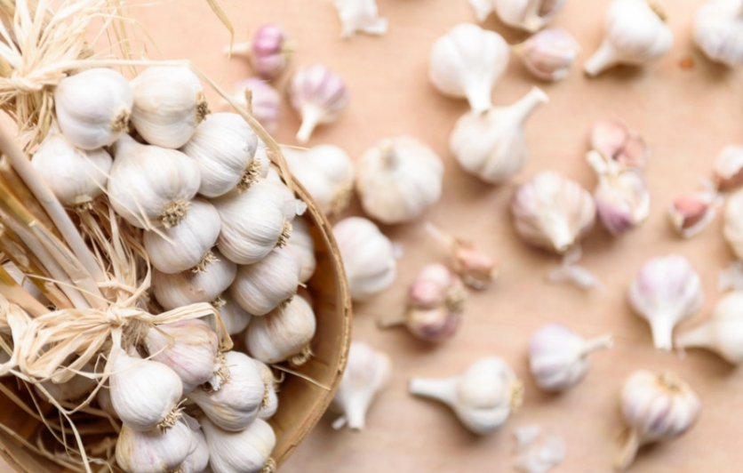 Garlic Intro and 5 Recipes