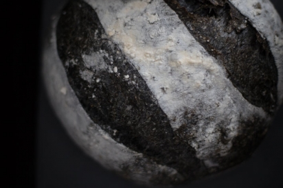 sourdough with activated charcoal